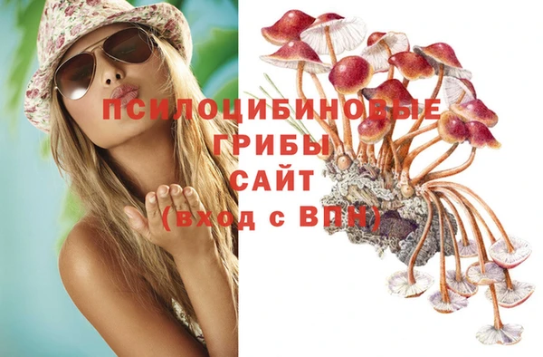 гидропоника Вяземский